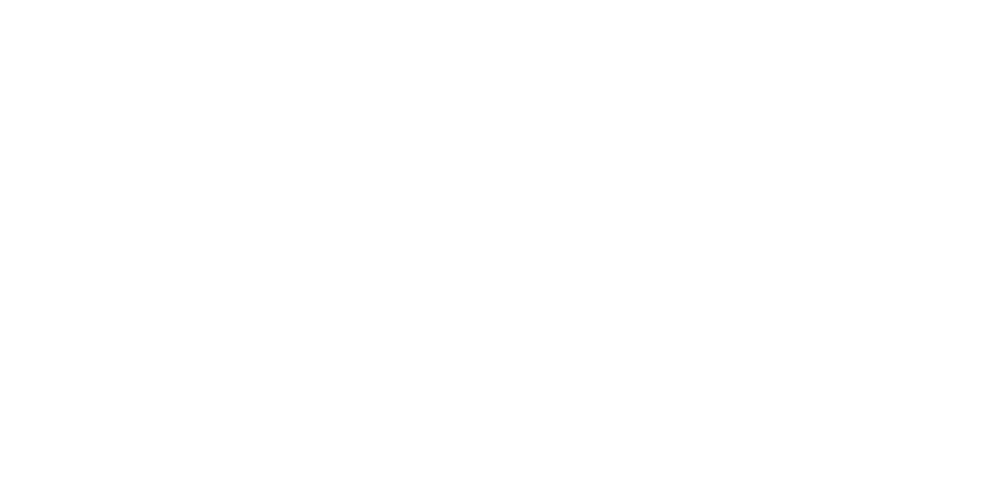 logo_veloretti
